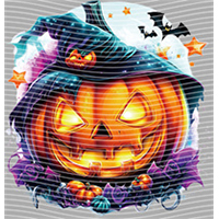 Halloween-WS 5985